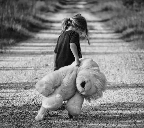 Khoảnh khắc đáng thương trên Reddit với chú mèo nhìn xa xăm