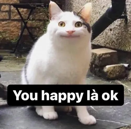 Hình chế vui boss lười nằm ăn giữa trời nắng.