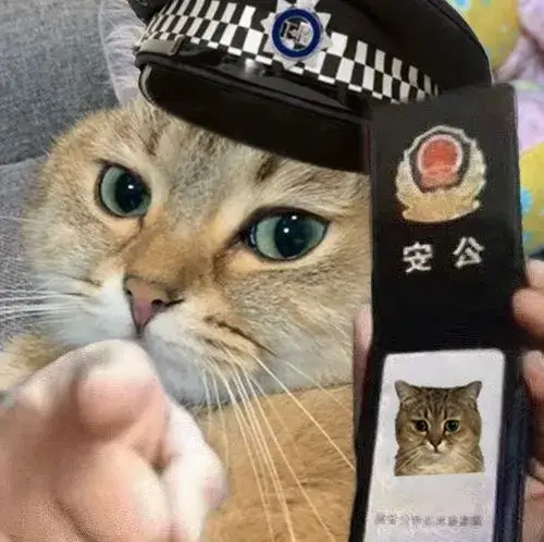 Ảnh hài boss bựa ngáp to như hét vào mặt chủ.