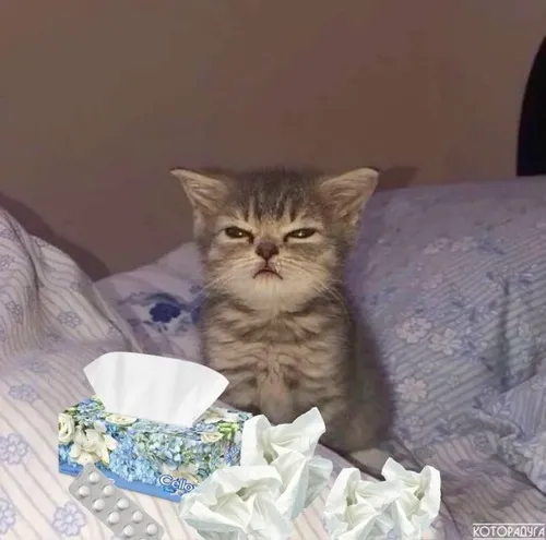 Meme chế mệt mỏi gắn với dân văn phòng mệt xỉu