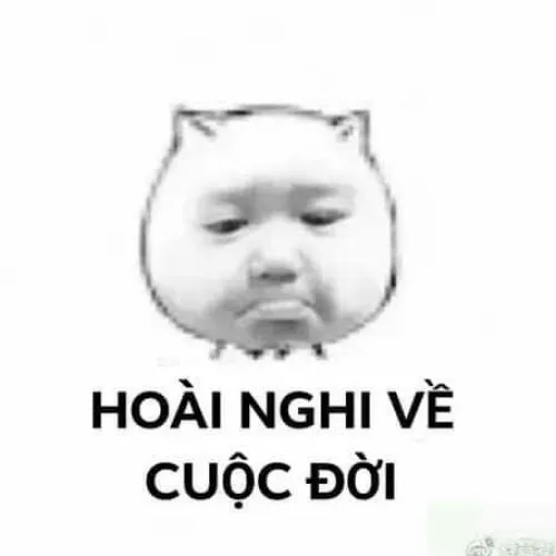Meme nghi ngờ nhân sinh và nghệ thuật nói không cần lời