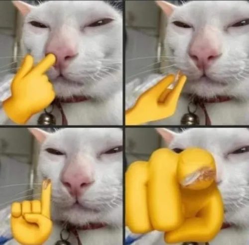 Ảnh chế sáng tạo khiến người xem bật cười liên tục.