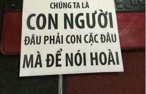 Ảnh vui mang năng lượng tích cực, xem là thấy khỏe.