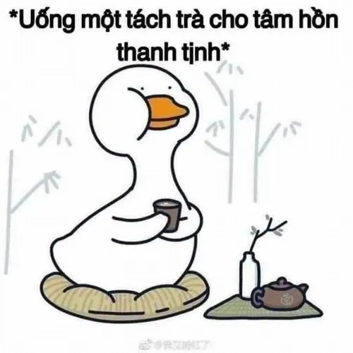 Một meme thôi mà lan tỏa niềm vui khắp nơi.