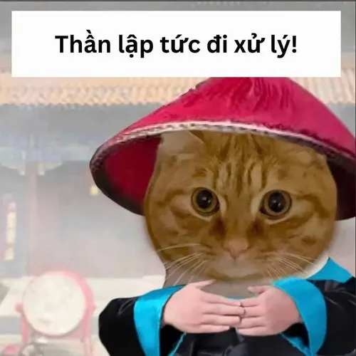 Một biểu cảm thôi mà đủ viral cả tuần.