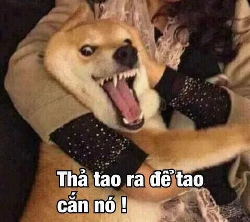 20+ ảnh Bỏ Ra Đừng Cản Tao Meme biểu tượng mới của sự bộc phát và ngầu lòi