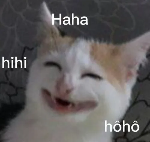 Hình chế mèo bá đạo trong vibe dân chơi