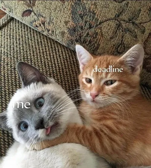 Ảnh chế ánh mắt lờ đờ mất ngủ