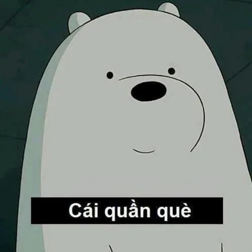 Ảnh chế troll bằng lời Việt cực duyên dáng