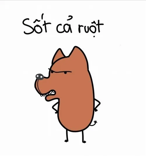 Ảnh vui có caption “Sốt cả ruột”