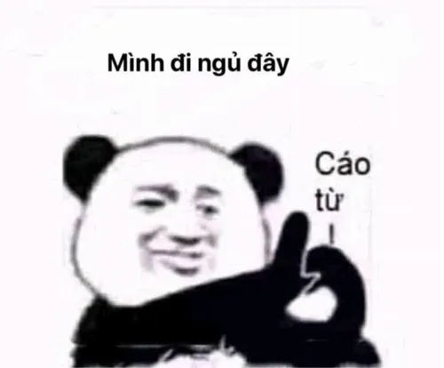 Hình meme châm biếm nhẹ nhưng cực kỳ sâu sắc