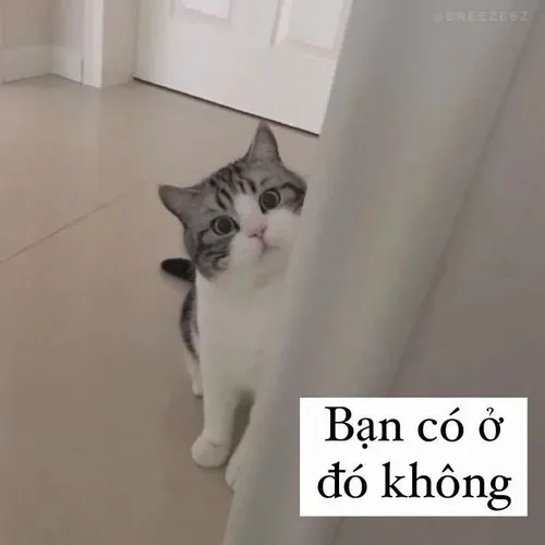 Khi bạn tưởng mình ngầu mà lại thành nguồn cảm hứng chế ảnh.