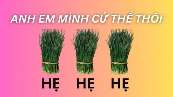 Anh em mình cứ thế thôi hẹ hẹ hẹ meme huyền thoại viral Anh em mình cứ thế thôi hẹ hẹ hẹ meme huyền thoại viral