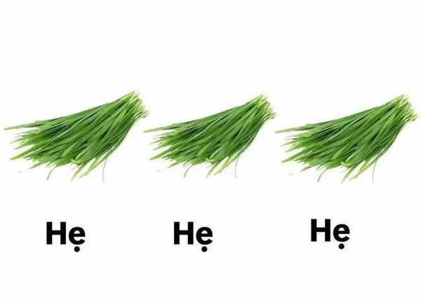 2 Giải mã tiếng cười Sena: cay mà vẫn vui, thua mà vẫn cười