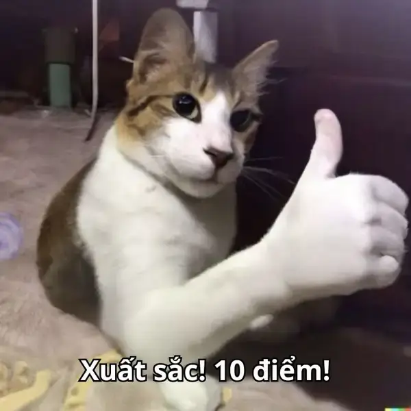 Ảnh troll Like phản ứng bài đăng cực nhanh và vui nhộn.