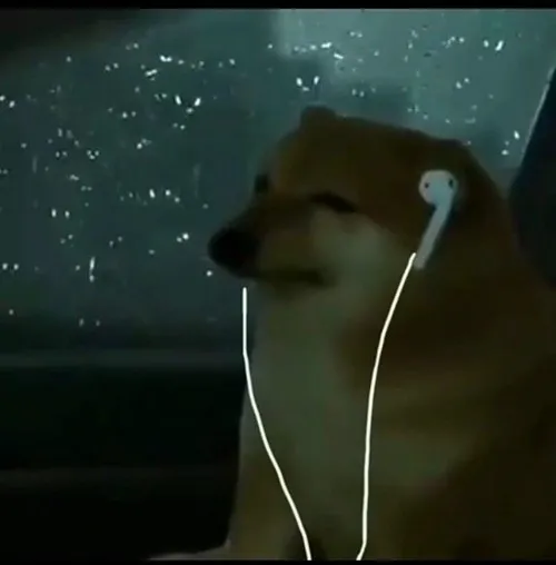 Ảnh chế xúc động pha giọng văn nhẹ nhàng.