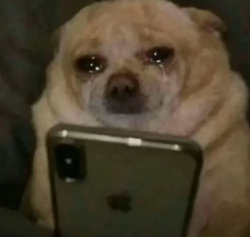 Meme chế kể lại hồi ức khiến ai cũng thấy mình.