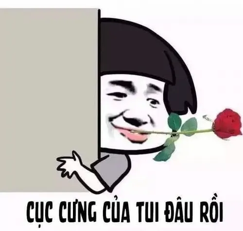 Khi bạn nhận ra: thế giới này quá nghiêm túc, trừ cái meme này.