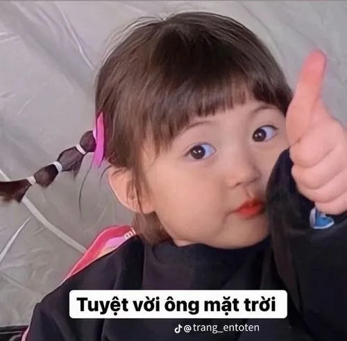 Ảnh chế tán dương bằng biểu cảm động vật cực hài