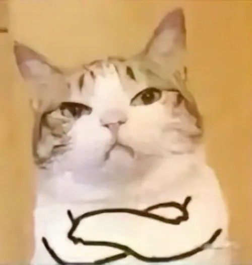 Ảnh vui boss mèo giận lẫy nhưng vẫn muốn ôm