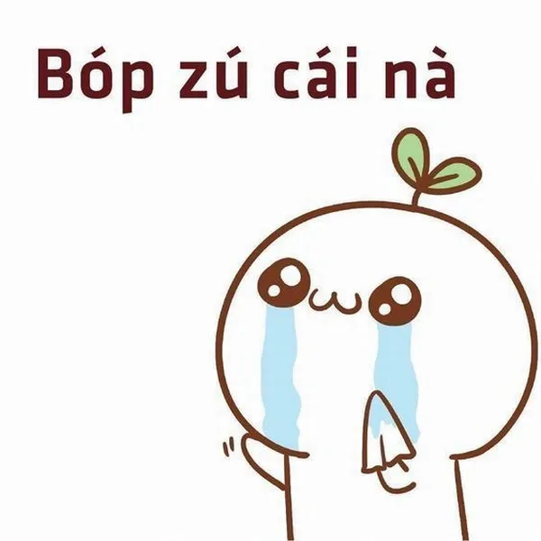 Meme tình cảm gắn bó giữa hai người tri kỷ