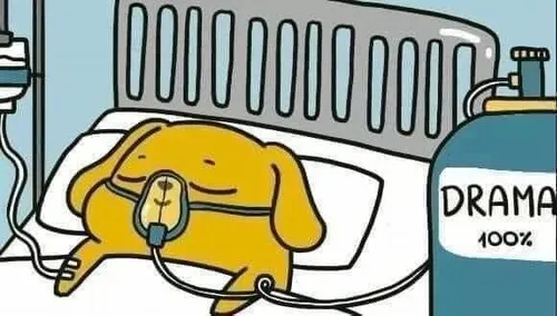 Từ bình luận đến ảnh chế: cú bùng nổ của meme hít drama