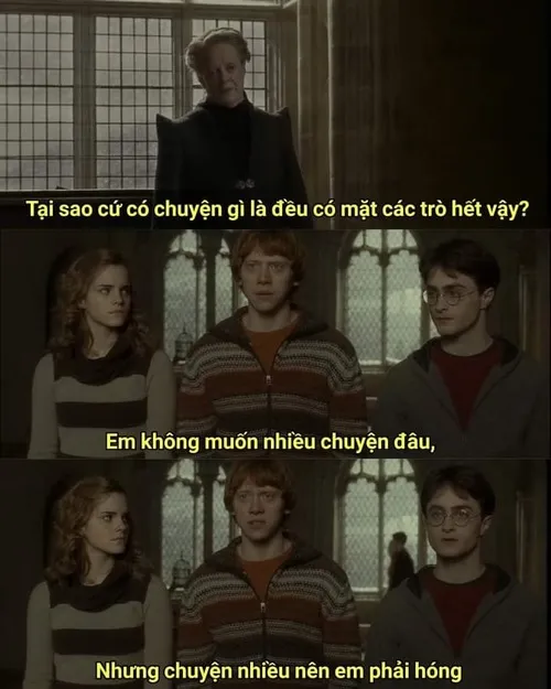 Meme vui hóng biến từ xa nhưng vẫn theo dõi sát