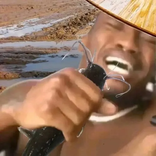 Meme ăn ba tô cơm phản ánh văn hóa mạng, sáng tạo không biên giới.