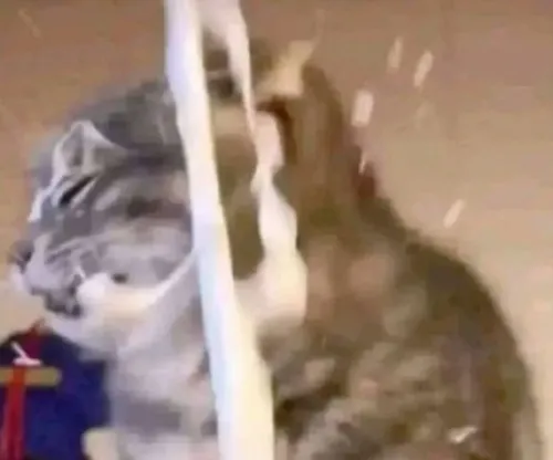 Meme bắn tùm lum: khi cảm xúc bùng nổ vì clip “nóng phỏng mắt”