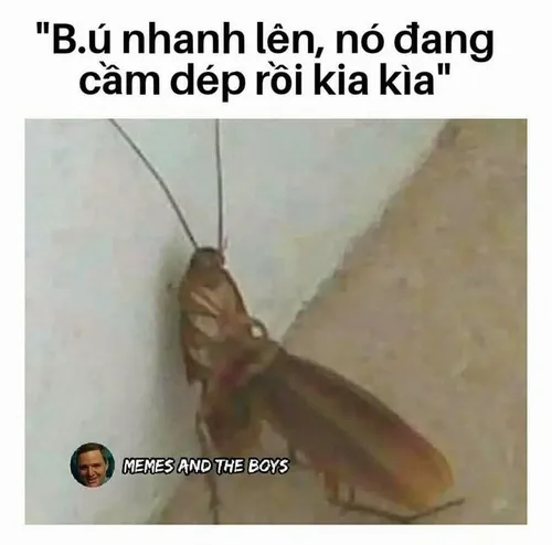 Khi clip nóng biến thành trò đùa tinh tế qua meme bắn tùm lum