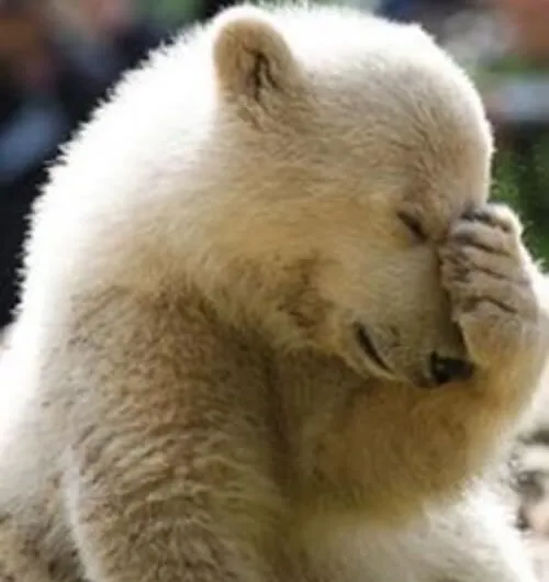 Ảnh troll chán đời mô phỏng gương mặt vô hồn