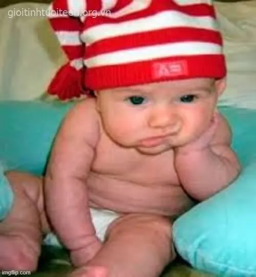 Khi cuộc đời vượt kiểm soát và meme lên tiếng