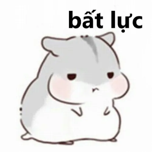 Ảnh vui phản chiếu sự đầu hàng đời thường