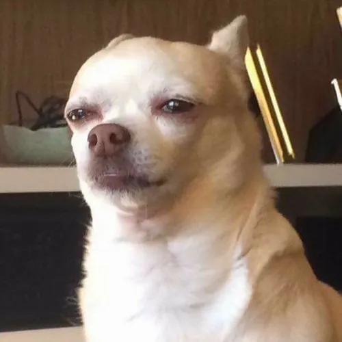 Hình chế meme vui khoảnh khắc lú cực đại của bạn trẻ