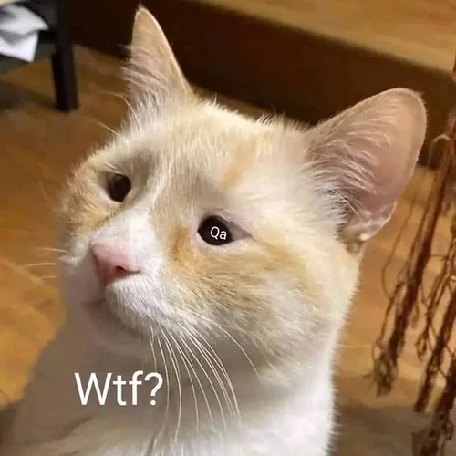 Hình meme vui biểu cảm lạc vibe cực hài hước