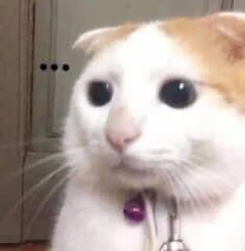 Meme bối rối ánh mắt trôi lạc trong khung hình