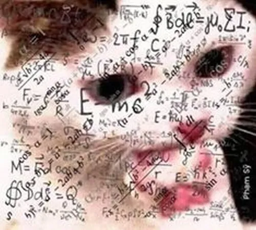 Ảnh troll biểu cảm thật ngoài đời hiếm gặp