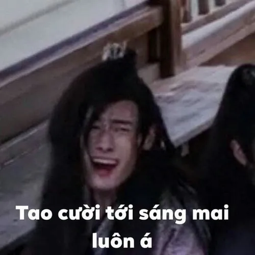 Ảnh này có thể khiến bạn bật cười giữa buổi họp.