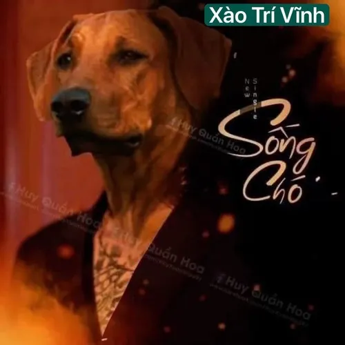 Vừa xem xong phải đứng dậy vỗ tay vì độ lầy.