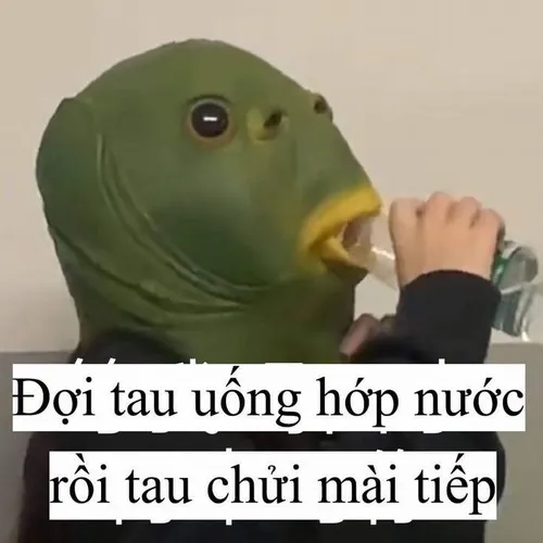 Khi não bảo dừng lại, nhưng tim bảo “troll thêm tí nữa đi”.