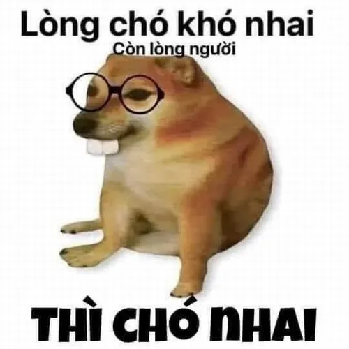 Bộ meme hài hước khiến Facebook dậy sóng