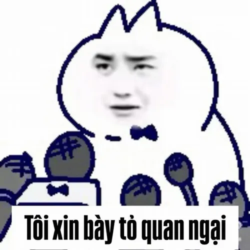 Khi chỉ một meme hài hước cũng đủ cứu rỗi cả ngày u ám