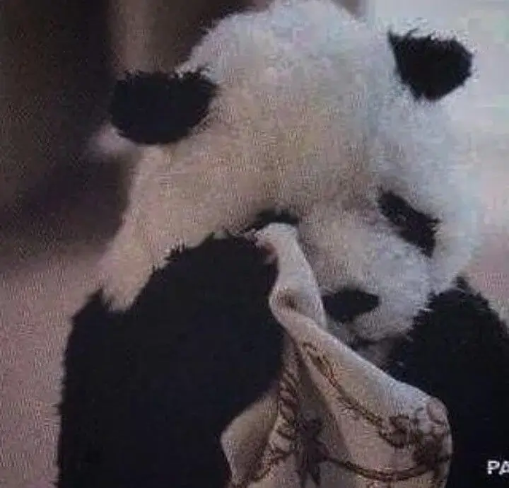 Hình troll người đang cười mà tim thì rách.