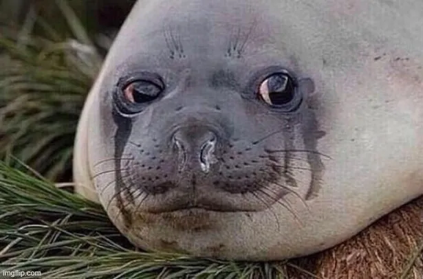 Meme buồn với ánh mắt mong chờ ai đó.