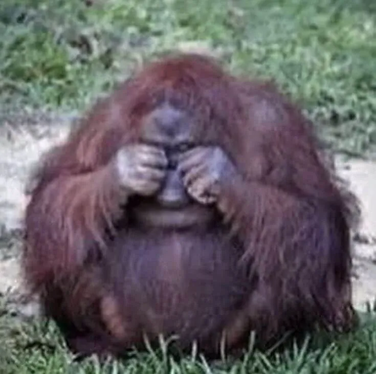 Meme chế buồn với nụ cười gượng nhẹ.