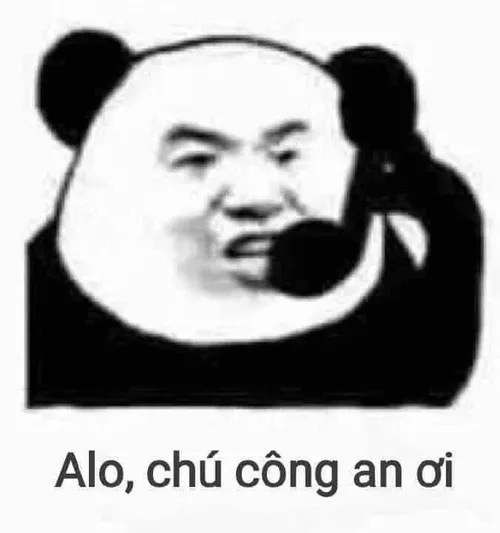 Khi đời cho bạn meme thay vì lời an ủi.