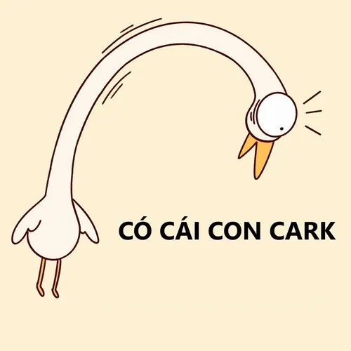 Ảnh chế từ chối vui được chia sẻ khắp hội nhóm TikTok.