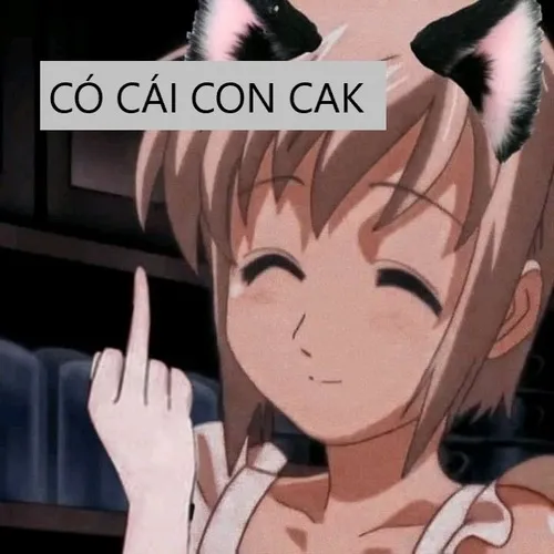 Meme hài cái con card lan nhanh trên TikTok và Facebook.