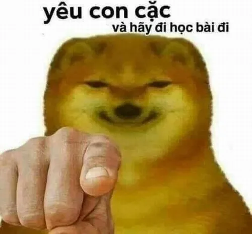 Hình meme cái con card lan rộng nhờ phong cách mỉa vui.