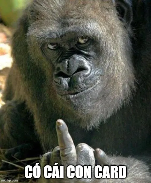 Ảnh troll tục nhẹ tạo điểm nhấn hài hước cho cuộc trò chuyện.